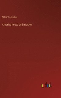 bokomslag Amerika heute und morgen