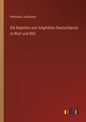 Hermann Lachmann - Reptilien und Amphibien Deutschlands in Wort und Bild, Häftad