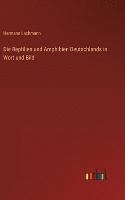 Hermann Lachmann - Reptilien und Amphibien Deutschlands in Wort und Bild, Inbunden