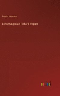 bokomslag Erinnerungen an Richard Wagner