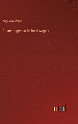 bokomslag Erinnerungen an Richard Wagner