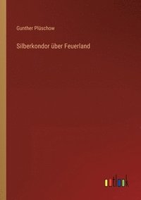 bokomslag Silberkondor über Feuerland