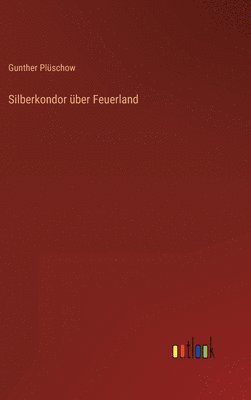 bokomslag Silberkondor ber Feuerland