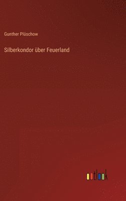 Silberkondor über Feuerland