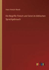 bokomslag Die Begriffe Fleisch und Geist im biblischen Sprachgebrauch