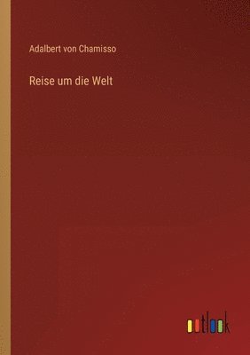 bokomslag Reise um die Welt