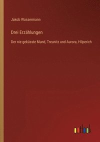 bokomslag Drei Erzählungen