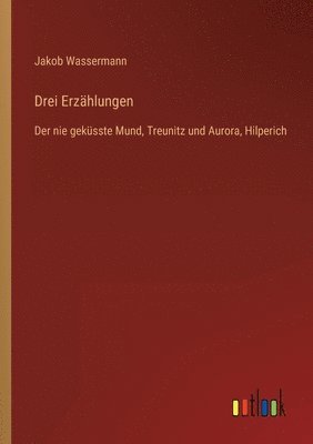 bokomslag Drei Erzählungen