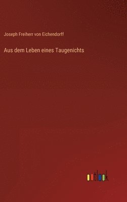 bokomslag Aus dem Leben eines Taugenichts