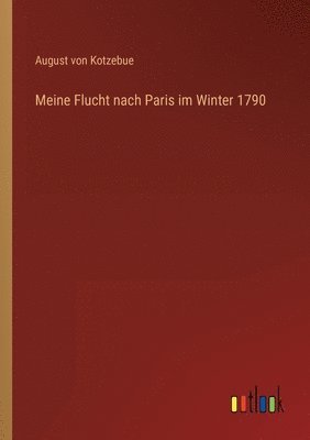 bokomslag Meine Flucht nach Paris im Winter 1790