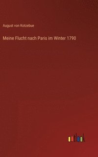 bokomslag Meine Flucht nach Paris im Winter 1790