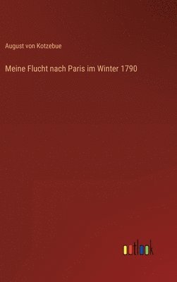 bokomslag Meine Flucht nach Paris im Winter 1790