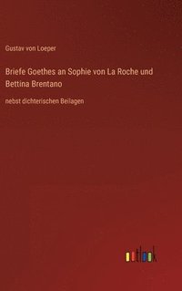 bokomslag Briefe Goethes an Sophie von La Roche und Bettina Brentano