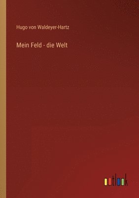 bokomslag Mein Feld - die Welt