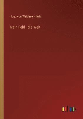 Mein Feld - die Welt 1