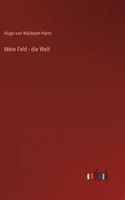 bokomslag Mein Feld - die Welt