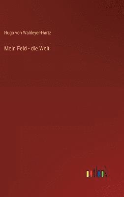 Mein Feld - die Welt 1