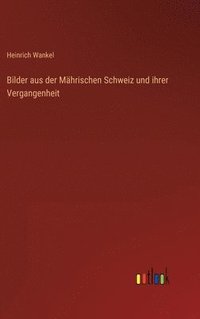 bokomslag Bilder aus der Mhrischen Schweiz und ihrer Vergangenheit