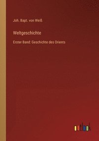 bokomslag Weltgeschichte