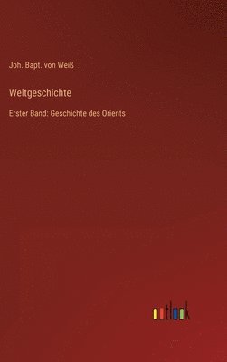 bokomslag Weltgeschichte