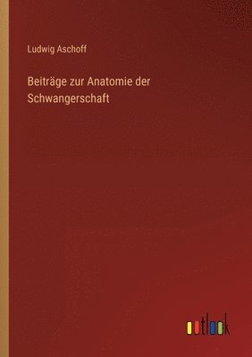 bokomslag Beitrage zur Anatomie der Schwangerschaft