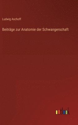 bokomslag Beitrge zur Anatomie der Schwangerschaft