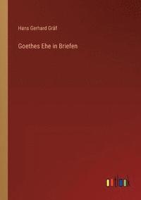 bokomslag Goethes Ehe in Briefen
