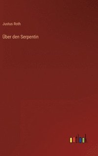 bokomslag Über den Serpentin
