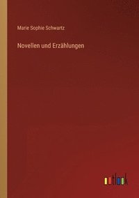 bokomslag Novellen und Erzählungen