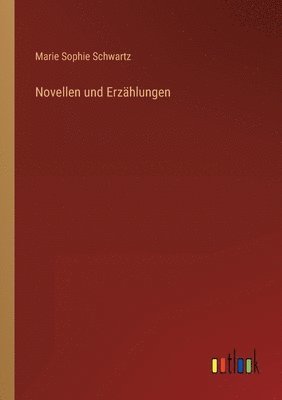 bokomslag Novellen und Erzählungen