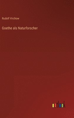 bokomslag Goethe als Naturforscher