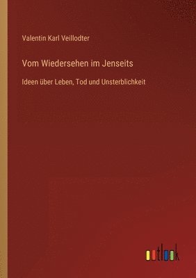 bokomslag Vom Wiedersehen im Jenseits