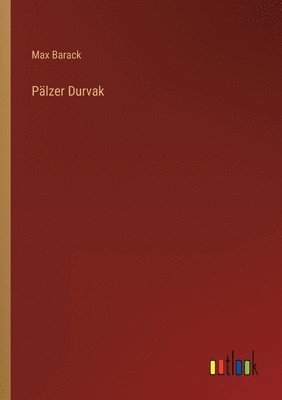 bokomslag Palzer Durvak