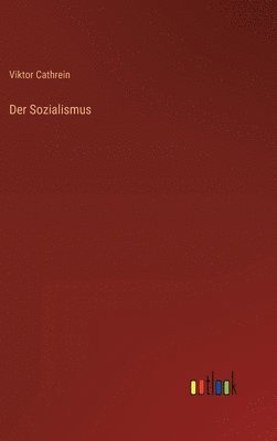 bokomslag Sozialismus