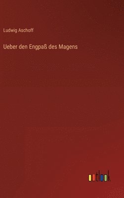 bokomslag Ueber den Engpaß des Magens