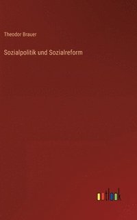 bokomslag Sozialpolitik und Sozialreform