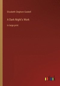 bokomslag Dark Night's Work