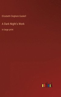 bokomslag Dark Night's Work