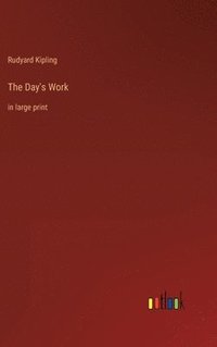 bokomslag Day's Work