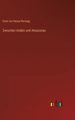 bokomslag Zwischen Anden und Amazonas