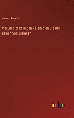 bokomslag Warum gibt es in den Vereinigten Staaten keinen Sozialismus?