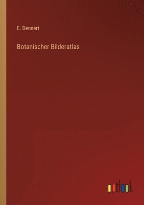 bokomslag Botanischer Bilderatlas