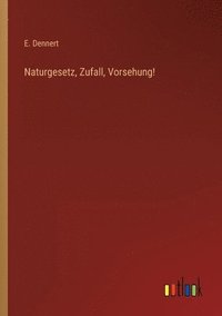 bokomslag Naturgesetz, Zufall, Vorsehung!