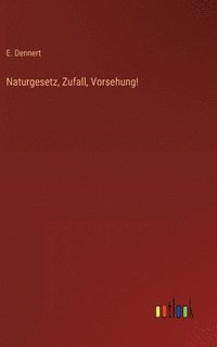 bokomslag Naturgesetz, Zufall, Vorsehung!