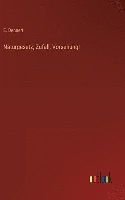 bokomslag Naturgesetz, Zufall, Vorsehung!