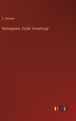 bokomslag Naturgesetz, Zufall, Vorsehung!