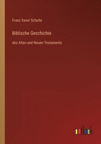 bokomslag Biblische Geschichte