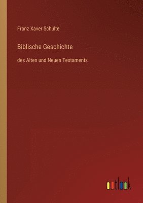 bokomslag Biblische Geschichte