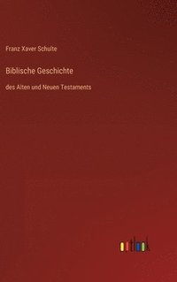 bokomslag Biblische Geschichte