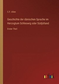 bokomslag Geschichte der dänischen Sprache im Herzogtum Schleswig oder Südjütland
